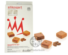 Silikomart QUADRATO XS 20 силиконовая форма  24 ячейки 36,75 х 15,75 мм