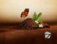 DeZaan™ 20-22 % какао порошок натуральный Премиум