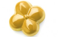IBC Power flowers жирорастворимый краситель Желтый AZO, 1 шт.