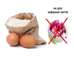 Альбумин сухой яичный белок Ovopol, Польша
