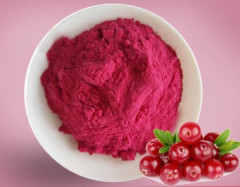 Матча красная (клюквенная), баночка 50 г