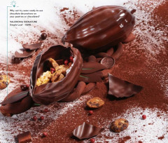 Valrhona 10841 форма для шоколада Какао Боб 16 х 8,5 см