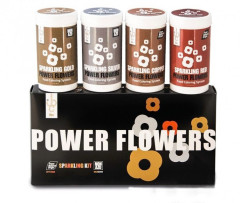 IBC Power Flowers Sparkle BOX блеск, набор из 4-х цветов по 50 шт.