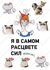 Вафельная картинка Я в самом расцвете сил