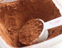 Какао порошок натуральный 10-12% GHN Gerkens, Голландия