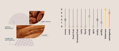 TRUE BEAN Какао нибсы 100% Buena Fe Violeta Эквадор, 500 гр