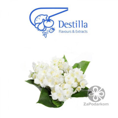 Жасмин пищевой ароматизатор Дестилла Destilla GmbH, Германия