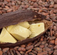 Callebaut Deodorized Cocoa Butter масло какао натуральное дезодорированное кусковое