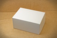 Коробка 21 х 15 х 10 см Контейнер big Белая