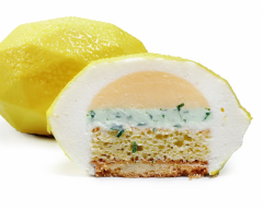 Силиконовая форма Динары Касько Lemon cakes, 5 шт.